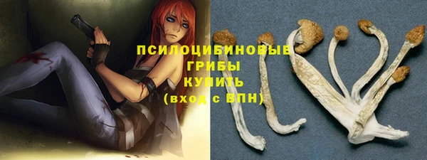 дживик Арсеньев