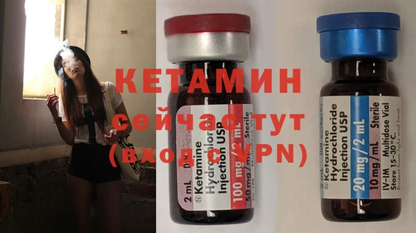 стаф Аркадак
