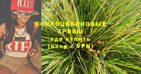 дживик Арсеньев