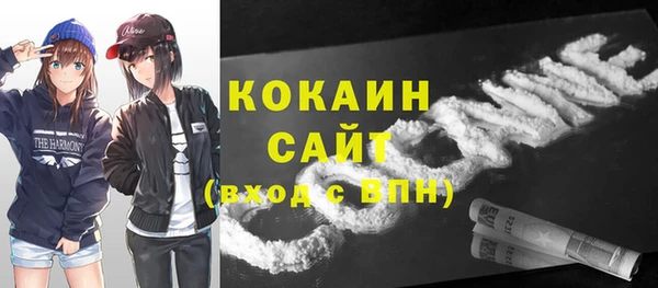 винт Армянск