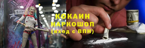стаф Аркадак