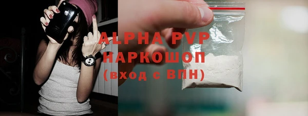 стаф Аркадак