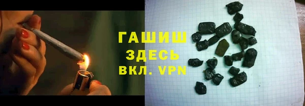 стаф Аркадак