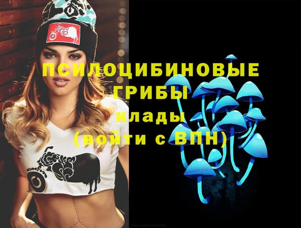дживик Арсеньев