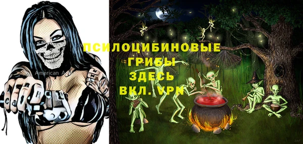 стаф Аркадак