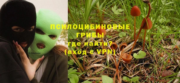 дживик Арсеньев